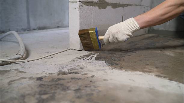 24/7 Emergency Wet Basement Repair experts in Trafford, PA